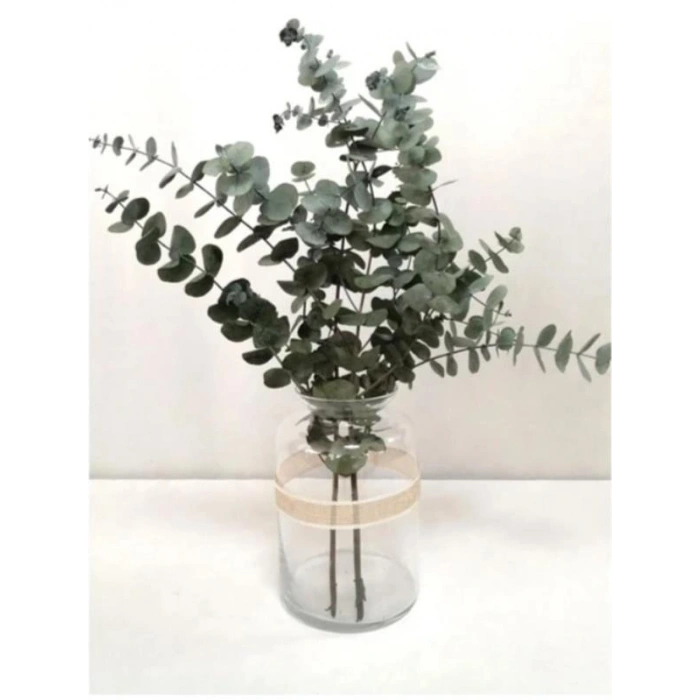 Şoklanmis Küçük Yapraklı Yeşil Okaliptus Demeti