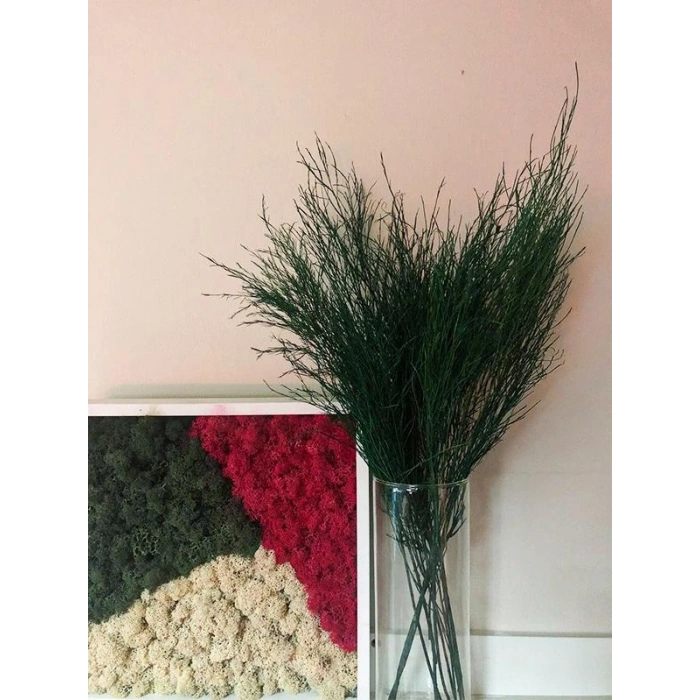 Şoklanmış Tikky Fern Demeti