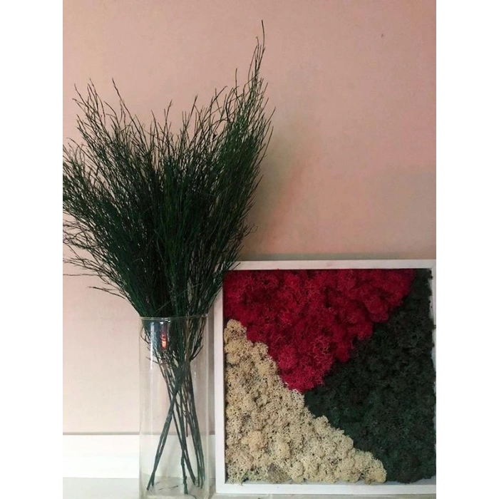 Şoklanmış Tikky Fern Demeti