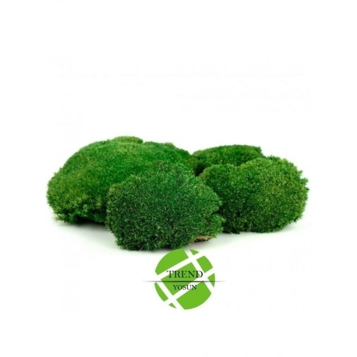 Top Yosun Şoklanmış Ort. 500 Gr. Ballmoss Yosun Koyu Yeşil