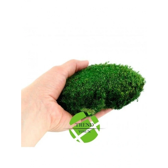 Top Yosun Şoklanmış Ort. 500 Gr. Ballmoss Yosun Koyu Yeşil