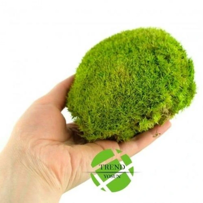 Top Yosun Şoklanmış Ort.250 Gr. Ballmoss Yosun Açık Yeşil