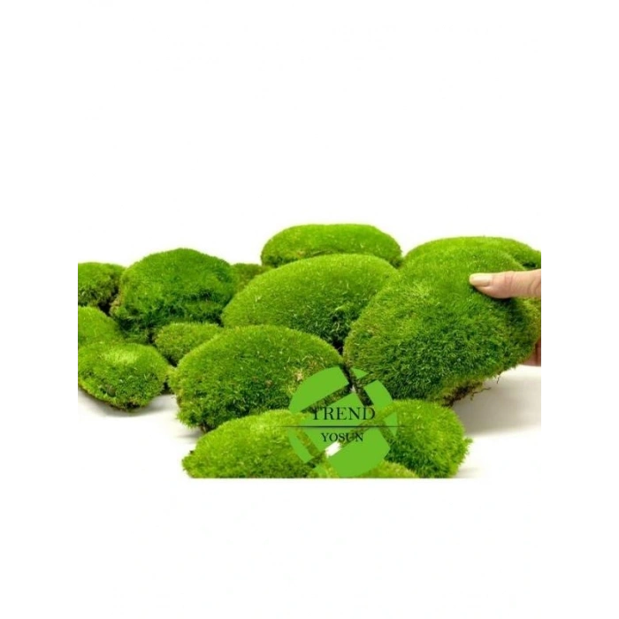 Top Yosun Şoklanmış Ort.250 Gr. Ballmoss Yosun Açık Yeşil