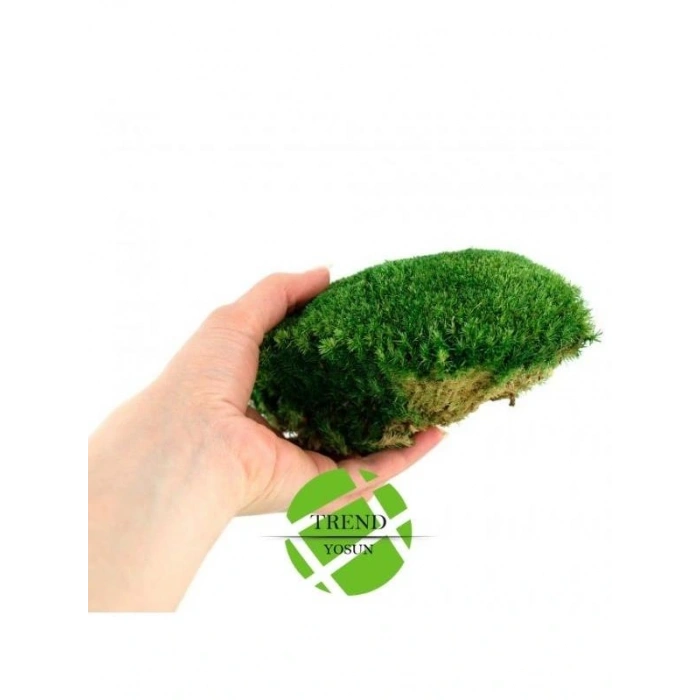Top Yosun Şoklanmış Ort.250 Gr. Ballmoss Yosun Koyu Yeşil