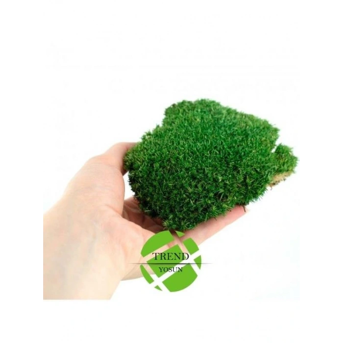 Top Yosun Şoklanmış Ort.250 Gr. Ballmoss Yosun Koyu Yeşil