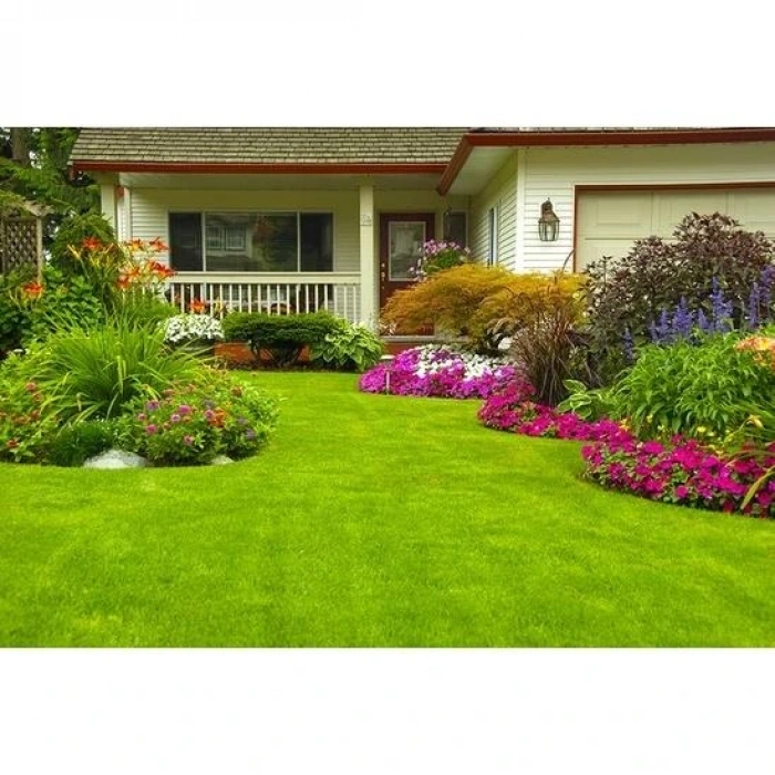 Ulusoy 6M Mix Çim Tohumu Karışımı 1Kg