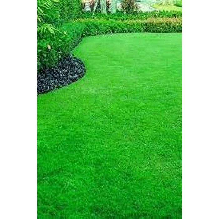 ULUSOY TOHUMCULUK Tamir Çimi Çim Tohumu Karışımı 1 Kg