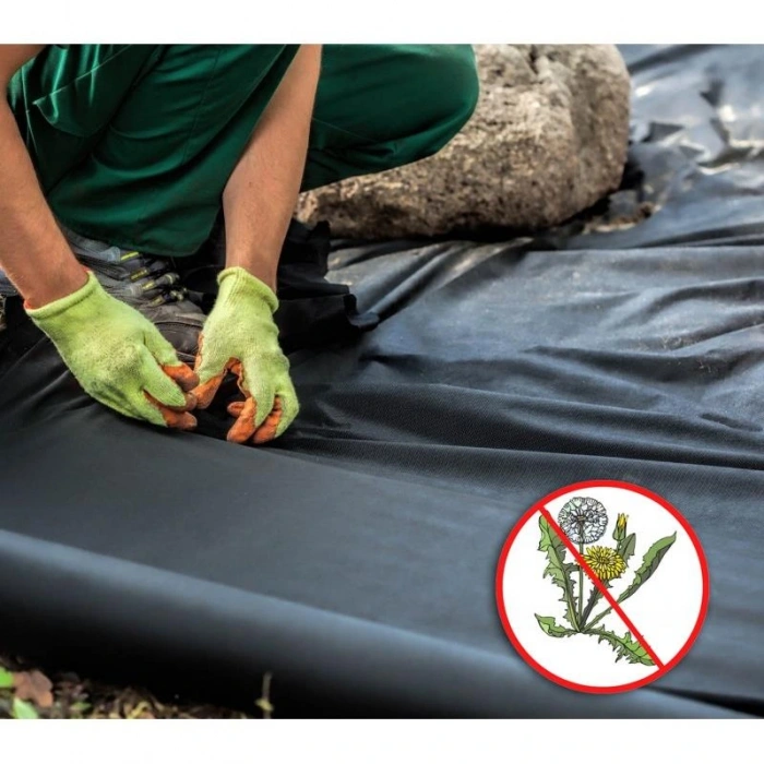 Yer Örtüsü Taban Örtüsü En:100 cm