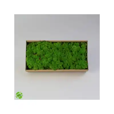 Reindeer moss FOREST şoklanmış norveç yosunu (250GR)