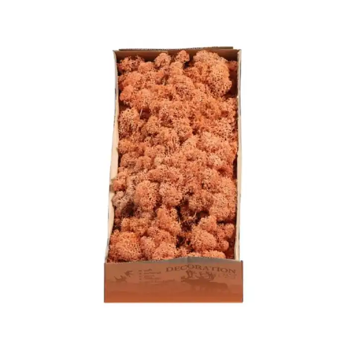 Reindeer moss MANGO şoklanmış norveç yosunu (250GR)