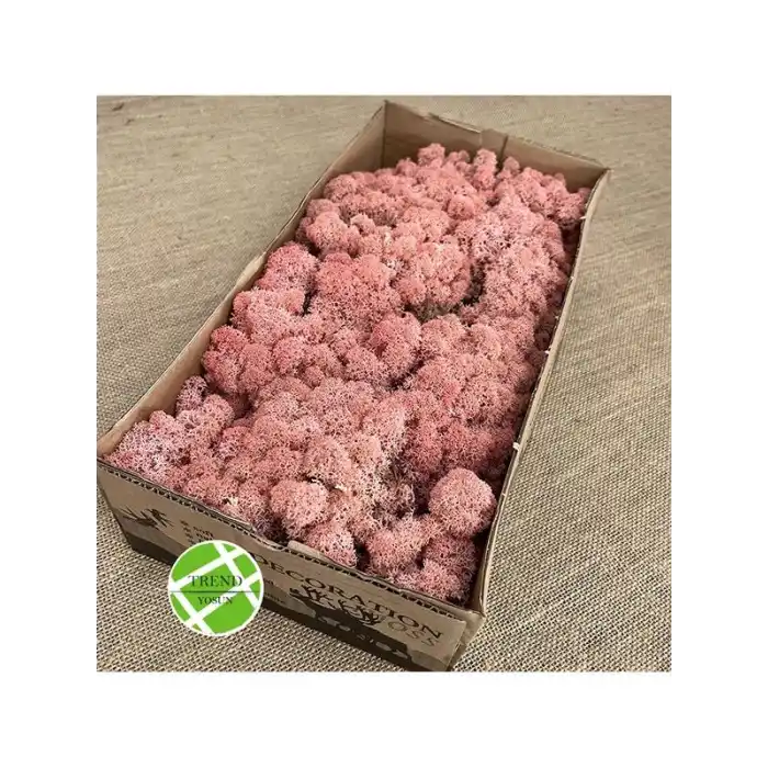 Reindeer moss PİNK şoklanmış norveç yosunu (250GR)