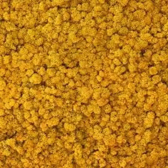 Reindeer moss HARDAL şoklanmış norveç yosunu (250GR)