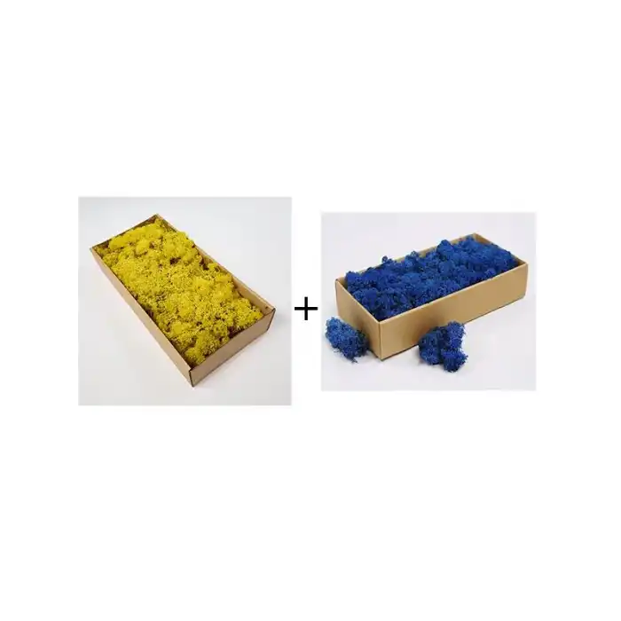 Reindeer moss mavi-sarı 2li set şoklanmış norveç yosunu