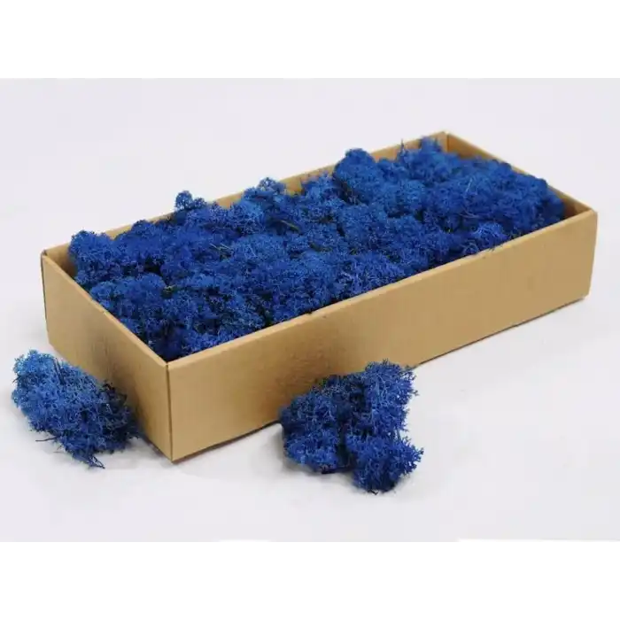Reindeer moss mavi şoklanmış norveç yosunu