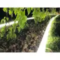 220V Dış Mekan Hortum Şerit Led Beyaz