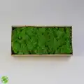 Reindeer moss FOREST şoklanmış norveç yosunu (250GR)