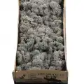 Reindeer moss ANTRASİT şoklanmış norveç yosunu (250GR)