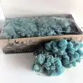 Reindeer moss AQUAMARİNE şoklanmış norveç yosunu (30GR)