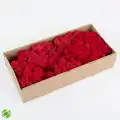 Reindeer moss KIRMIZI şoklanmış norveç yosunu (30GR)