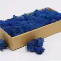 Reindeer moss MAVİ şoklanmış norveç yosunu (30GR)