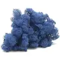 Reindeer moss MAVİ şoklanmış norveç yosunu (30GR)