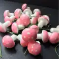 Pembe Beyaz Mantar Teraryum Minyatür Süsleme (10 ADET)