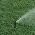 Rainbird 3504 rotor
