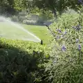 Rainbird 5004 rotor
