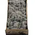 Reindeer moss ANTRASİT şoklanmış norveç yosunu