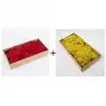 Reindeer moss kırmızı-sarı 2li set şoklanmış norveç yosunu