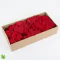Reindeer moss kırmızı-sarı 2li set şoklanmış norveç yosunu