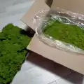 Reindeer moss lime green şoklanmış norveç yosunu 4 kg