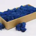 Reindeer moss mavi şoklanmış norveç yosunu