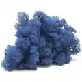 Reindeer moss mavi şoklanmış norveç yosunu