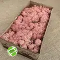 Reindeer moss ROZE(GÜL) şoklanmış norveç yosunu