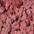 Reindeer moss ROZE(GÜL) şoklanmış norveç yosunu