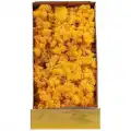Reindeer moss sarı (hardal) şoklanmış norveç yosunu
