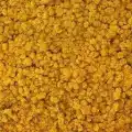 Reindeer moss sarı (hardal) şoklanmış norveç yosunu