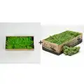 Reindeer moss spring green-forest green 2li set şoklanmış norveç yosunu