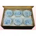 Rose Amor BLU-89 MAVİ şoklanmış solmaz gül XL