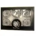 Rose Amor GRİ şoklanmış solmaz gül XL