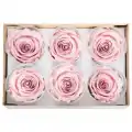 Rose Amor PİNK - 04 PEMBE şoklanmış solmaz gül XL