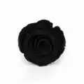 Rose Amor SİYAH şoklanmış solmaz gül XL