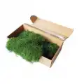 Şoklanmış Flatmoss Kara Yosunu 250 Gr.