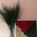 Şoklanmış Tikky Fern Demeti