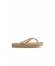 Dore Havaianas Havaianas Slim Kadın Terlik