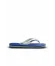 Mavi Havaianas Havaianas Brasil Logo Kadın Terlik