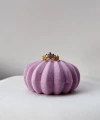 Rapunzel Taç Yüzük I Çelik