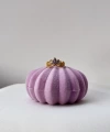 Rapunzel Taç Yüzük I Çelik