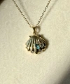 Venus Shell Kolye